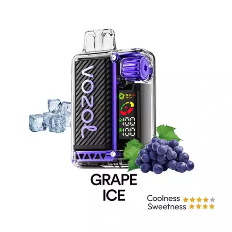 VOZOL VISTA 20k PUFFS Grape Ice VOZOL - 1